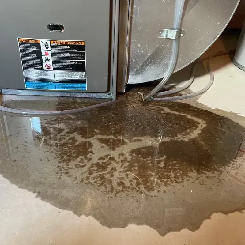 Appliance Leak Cleanup in Denver County, CO